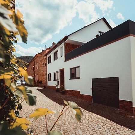 Winterangebot - Mosellolodge, Luxus-Ferienhaus, Dachterrasse, Netflix, Waschmaschine Senheim Exteriör bild